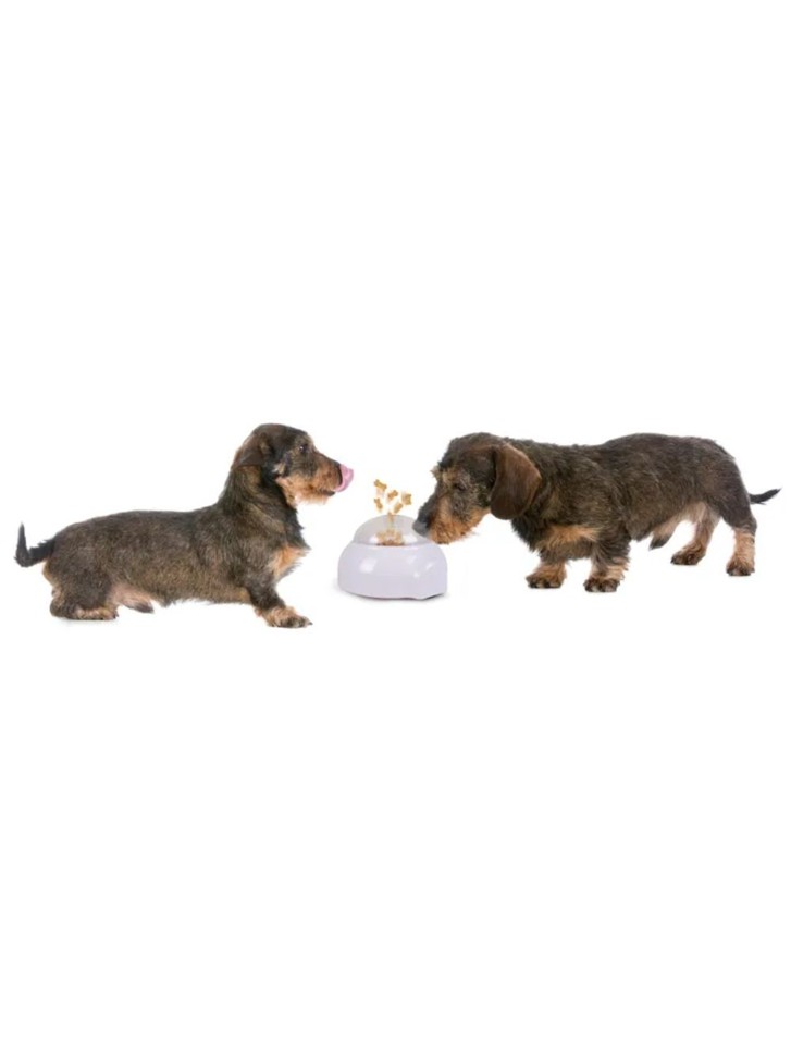 Flamingo - Aktivitetslegetøj Pop Up godbidder til hund /kat