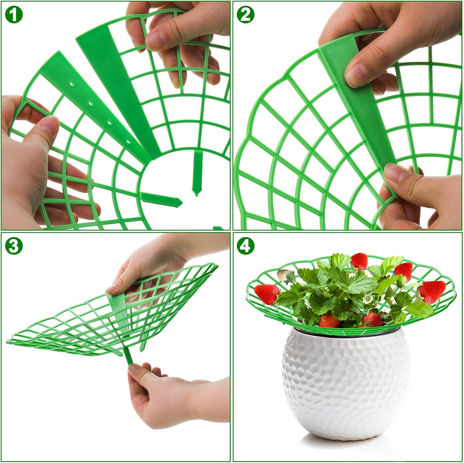(5er Set) Ø31.5cm Erdbeer Stütze Schneckenkragen Garten Schnecken Barriere Frucht Schutz - Grün