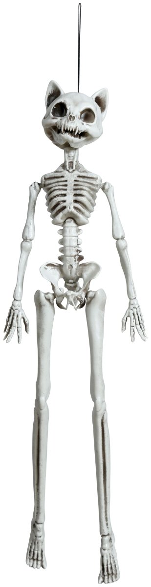Halloween Skelet Kat 37cm