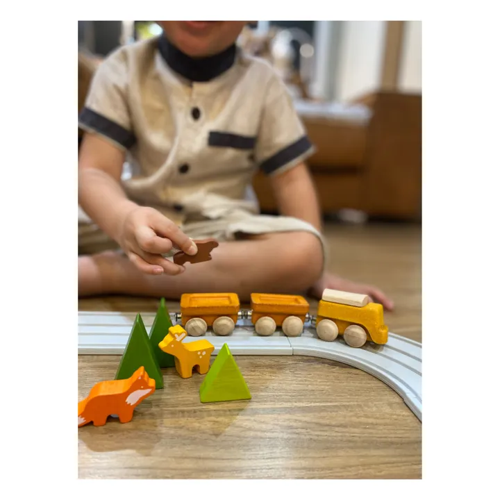 Plan Toys Train marchand en bois