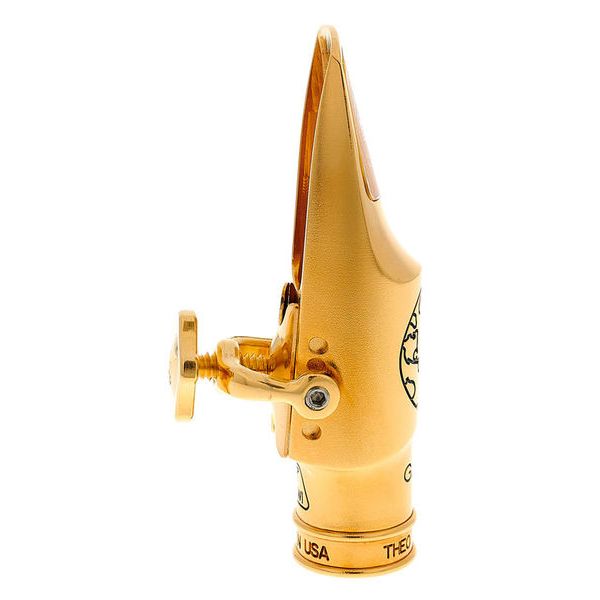 Theo Wanne Gaia IV Alto 7 Metal