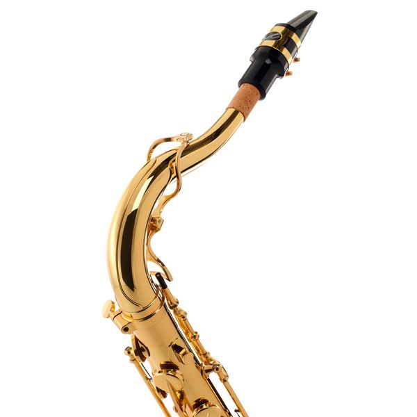 Yanagisawa T-WO10 Elite Tenor Sax