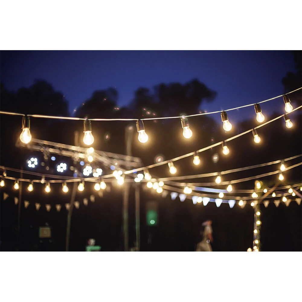 Guirlande guinguette 50 LED 10 boules blanches 6m