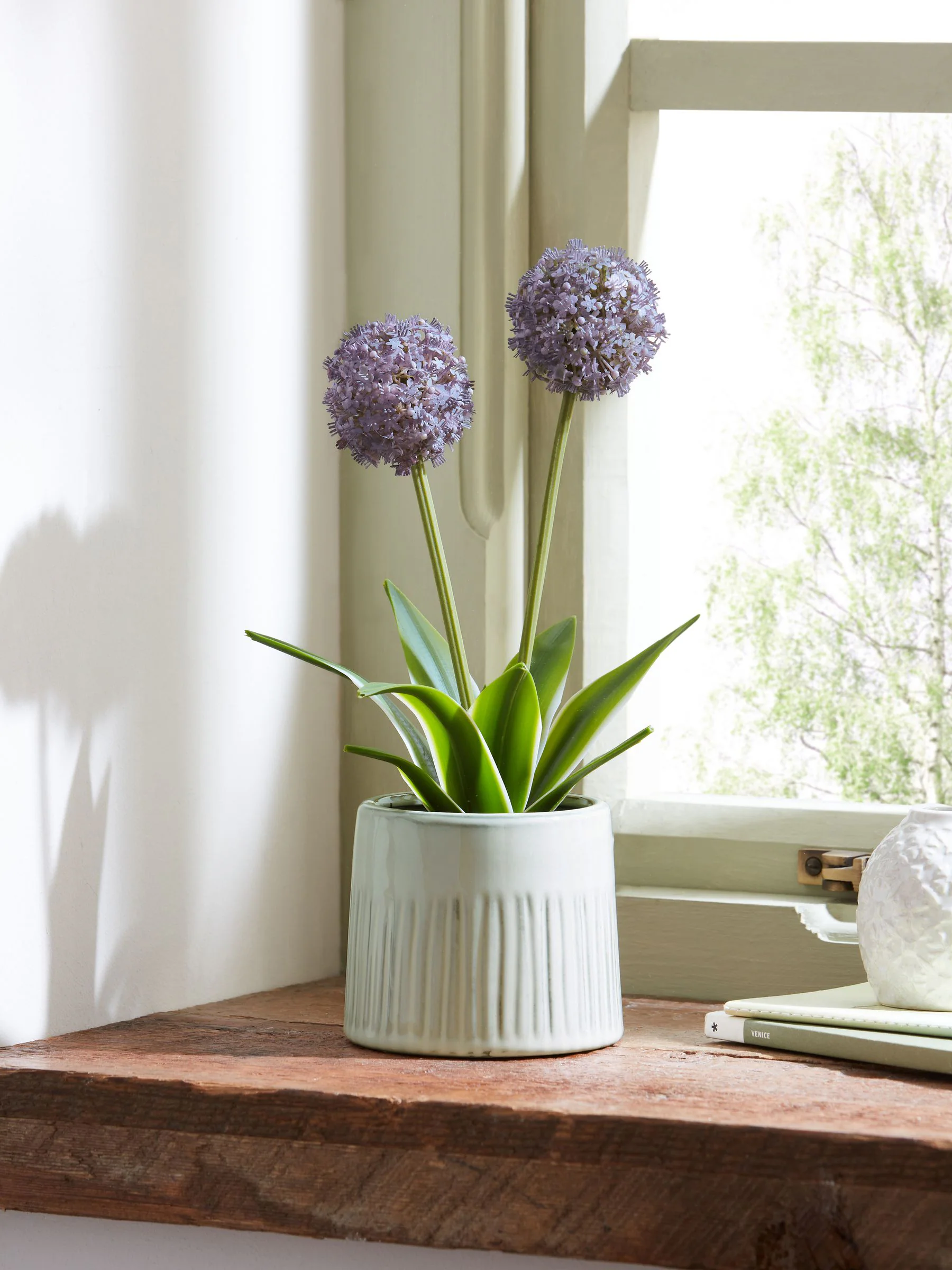 Artificial Allium Plant In Ribbed Ceramic Pot