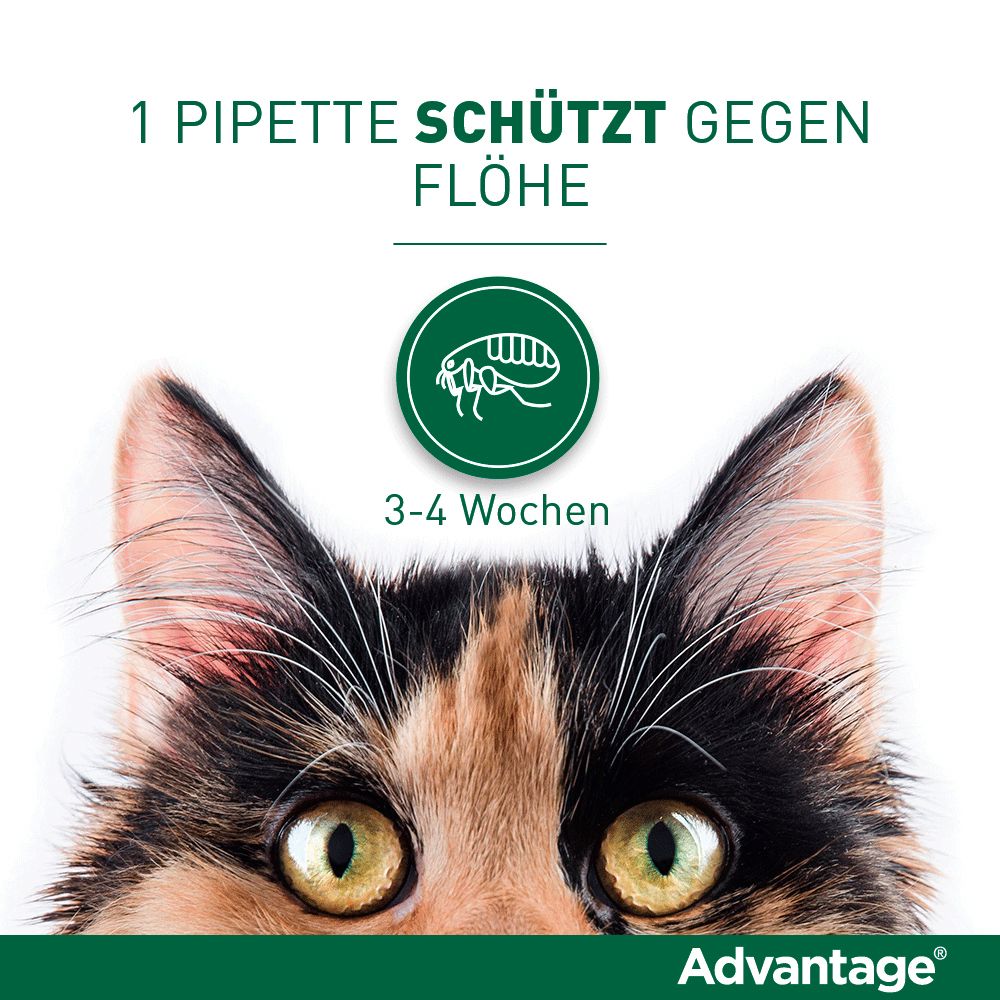 Advantage® 40 mg für Katzen und Zierkaninchen bis 4 kg Körpergewicht