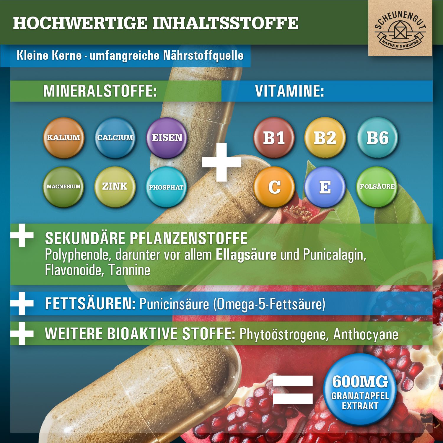 Scheunengut® Granatapfel Extrakt 45:1 | Hochdosiert mit mindestens 40% Ellagsäure & Polyphenolen
