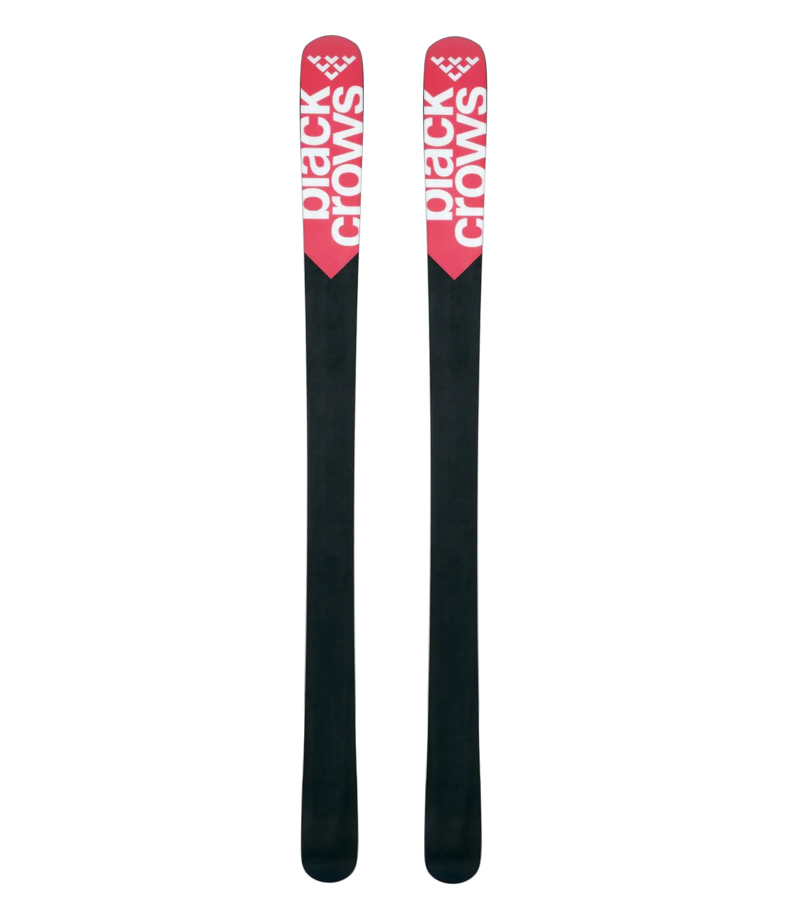 Black Crows Camox Birdie Juniorski | SkatePro