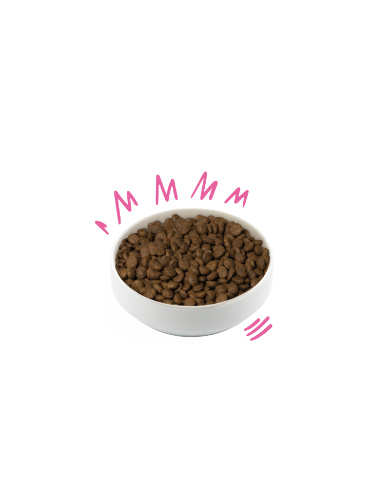 Edgard Cooper - Plant-based Græskar/Rødbede, Adult 1kg