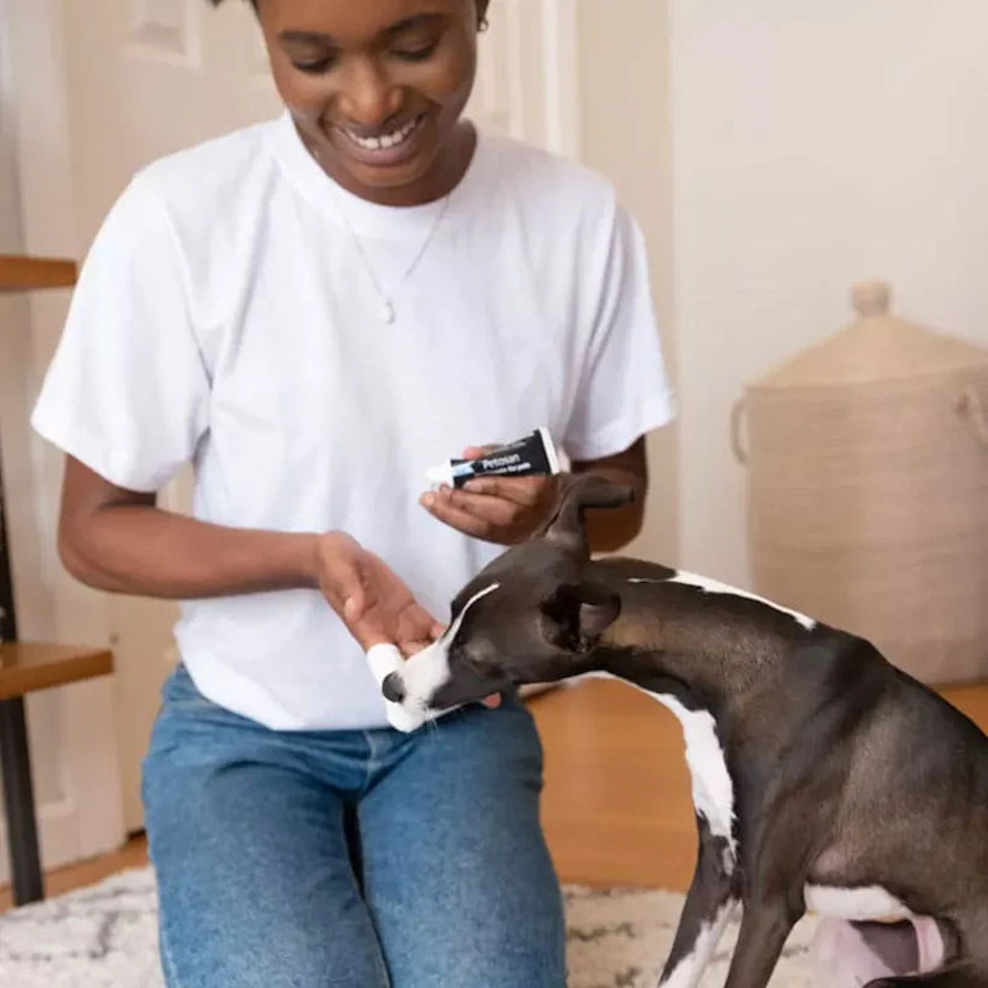 Kit de limpeza dental Petosan para cães de porte médio