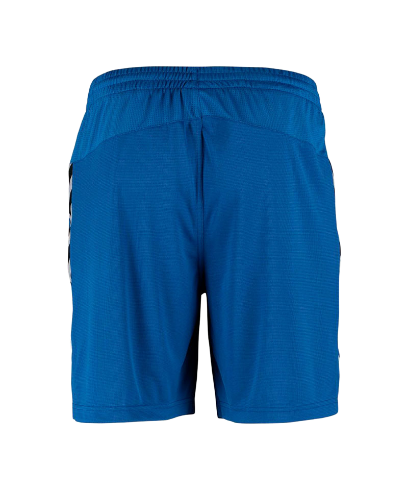 Hummel Authentic Charge Shorts Kids Blau F7045