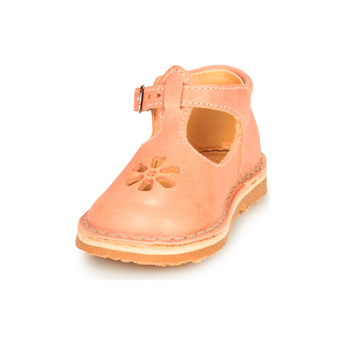 Aster - BIMBO-2 - Rose