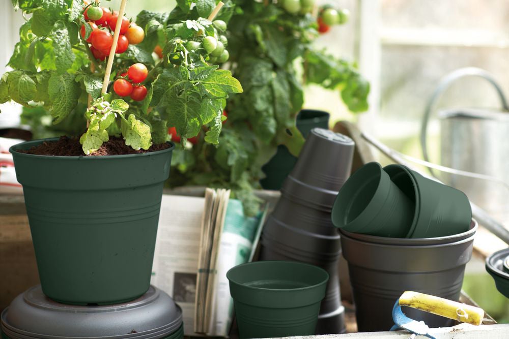 Elho kweekpot Green Basics groen D 11 H 10,2 cm