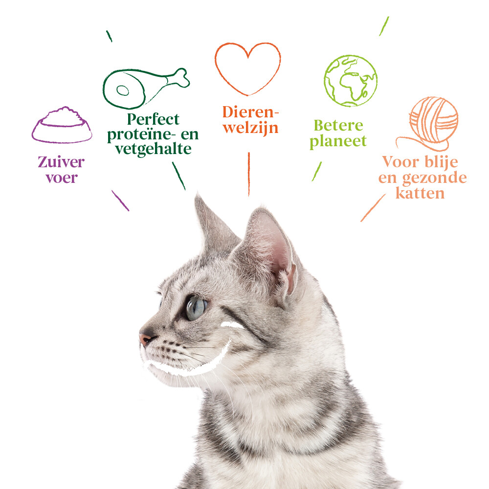 14x Yarrah Bio Kattenvoer Rund85 gr