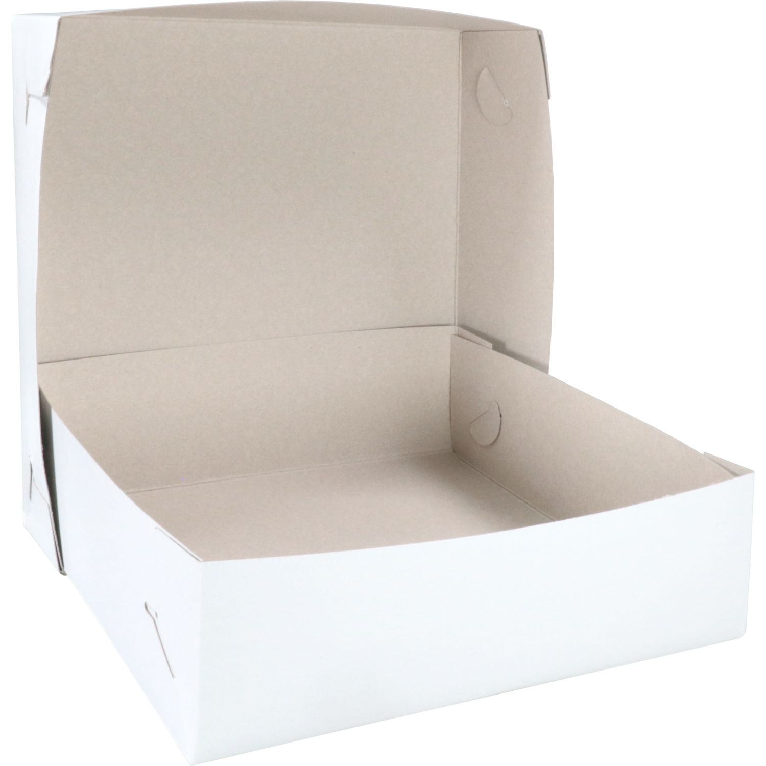 Zwanenhals/ verzenddoos, karton, 30x30x9cm, duplex, wit