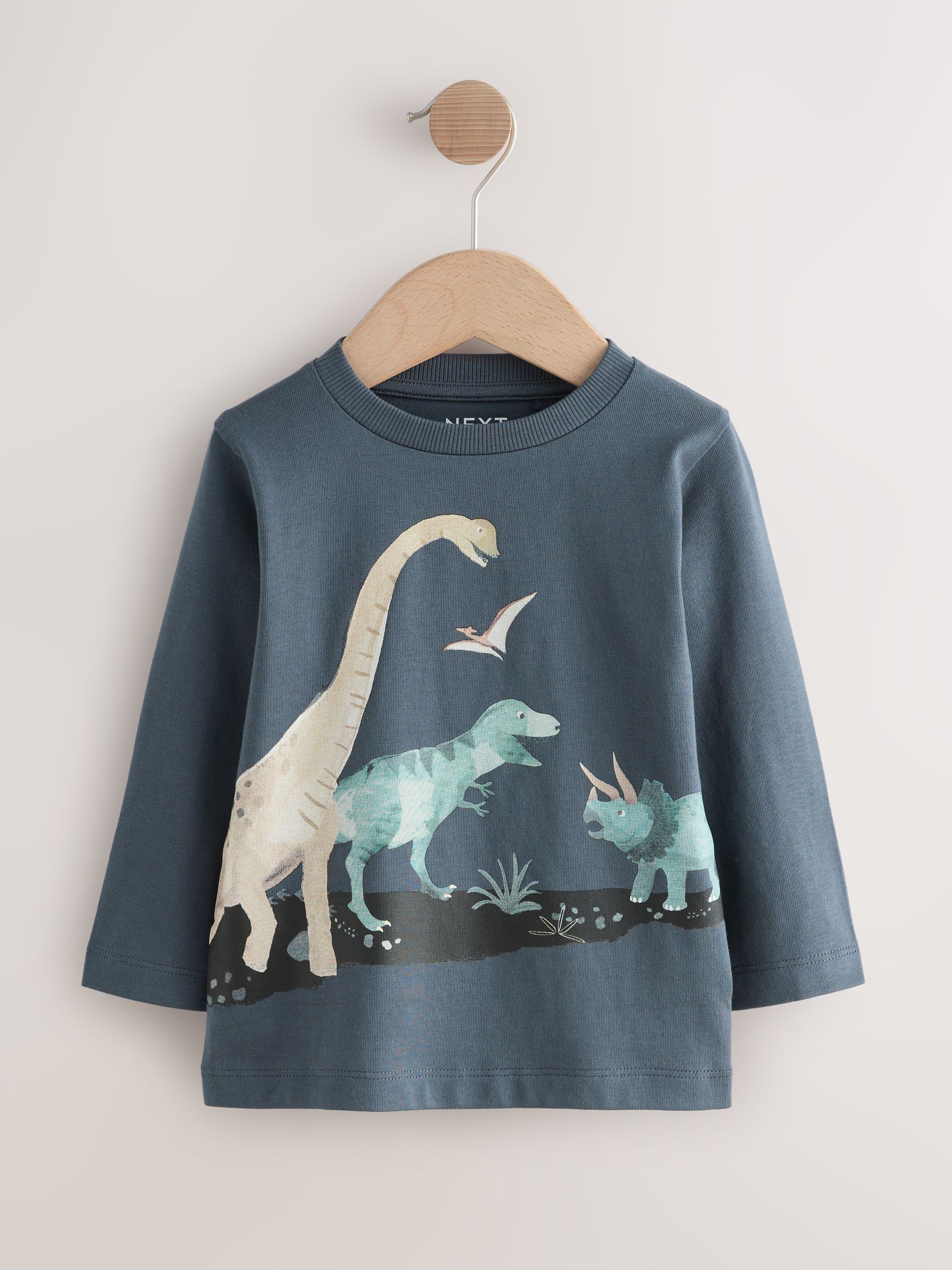Mineraalkleurig aquarel met dinosaurus - Set van 3 T-shirts met grafische print en lange mouwen (3mnd-7jr)