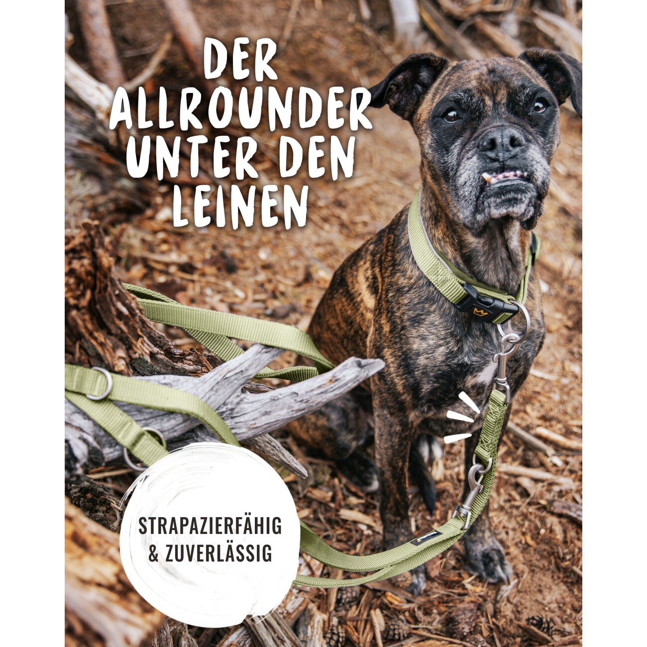 Rudelkönig Hundeleine - Führleine Frida grün 2,3 m