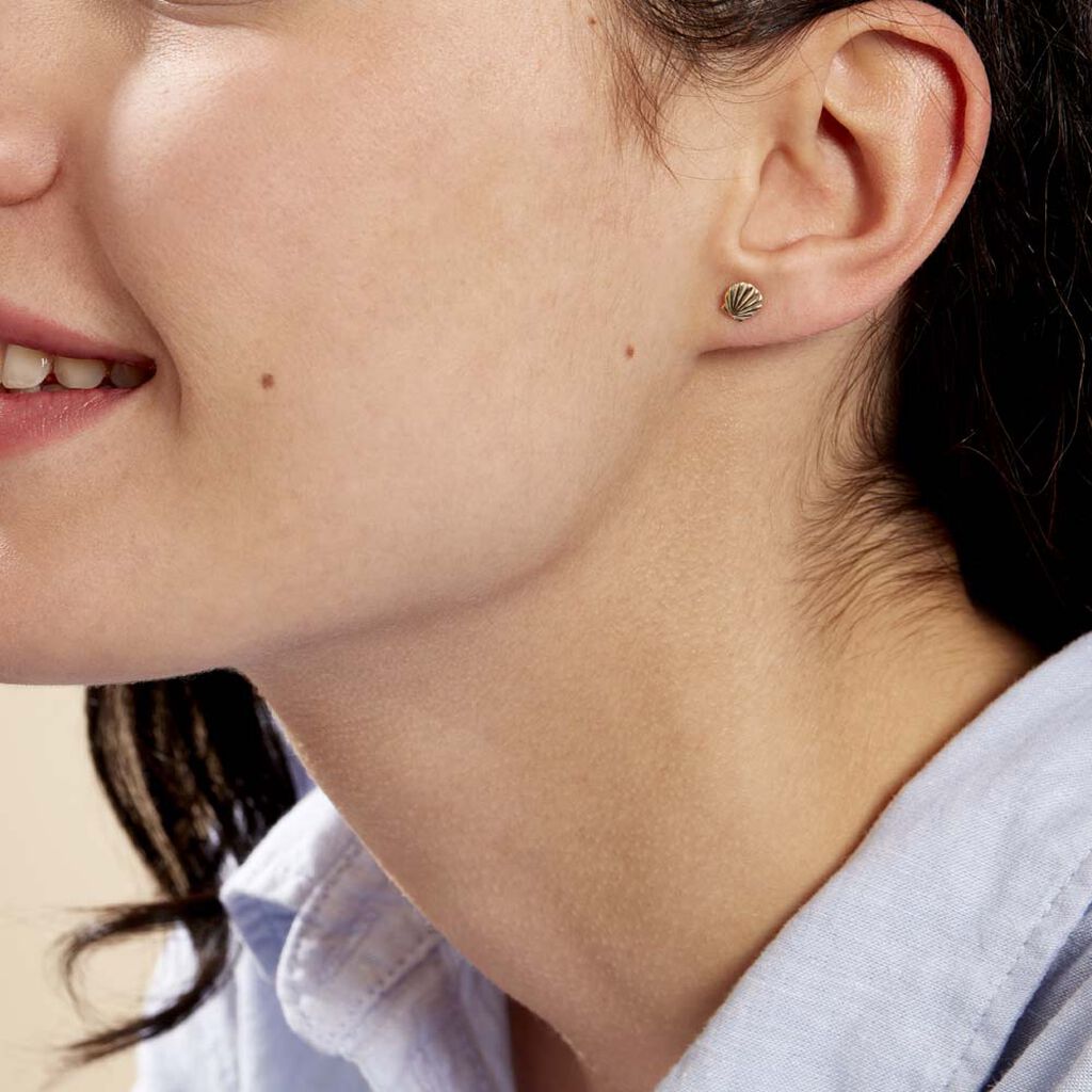 Boucles D'oreilles Puces Franzine Coquillage Or Jaune