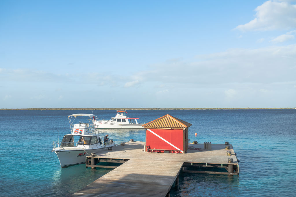 Captain Don's Habitat Logies - Hotel