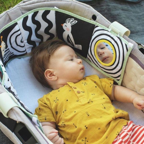 Taf Toys Koala Clip On Pram Boekje