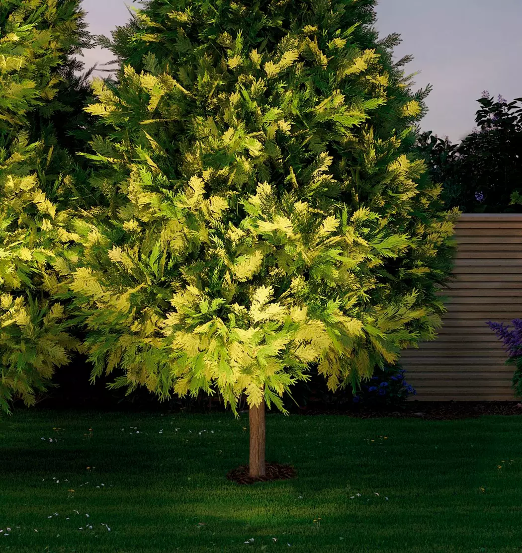 LED-Bodeneinbauleuchte Plug&Shine