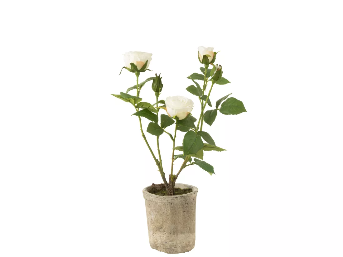 Rose 5 tetes en pot plastique/textile blanc/vert 23x23x39cm