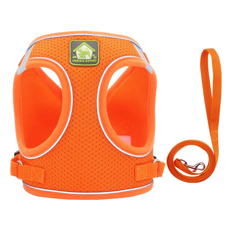 Bubbluff - Reflecterend harnas voor huisdieren met riem