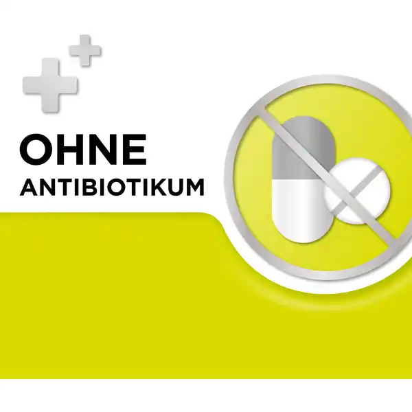 Zuckerfrei Zitronengeschmack Lutschtabletten