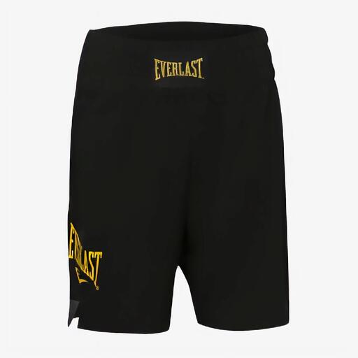 Desempenho Everlast