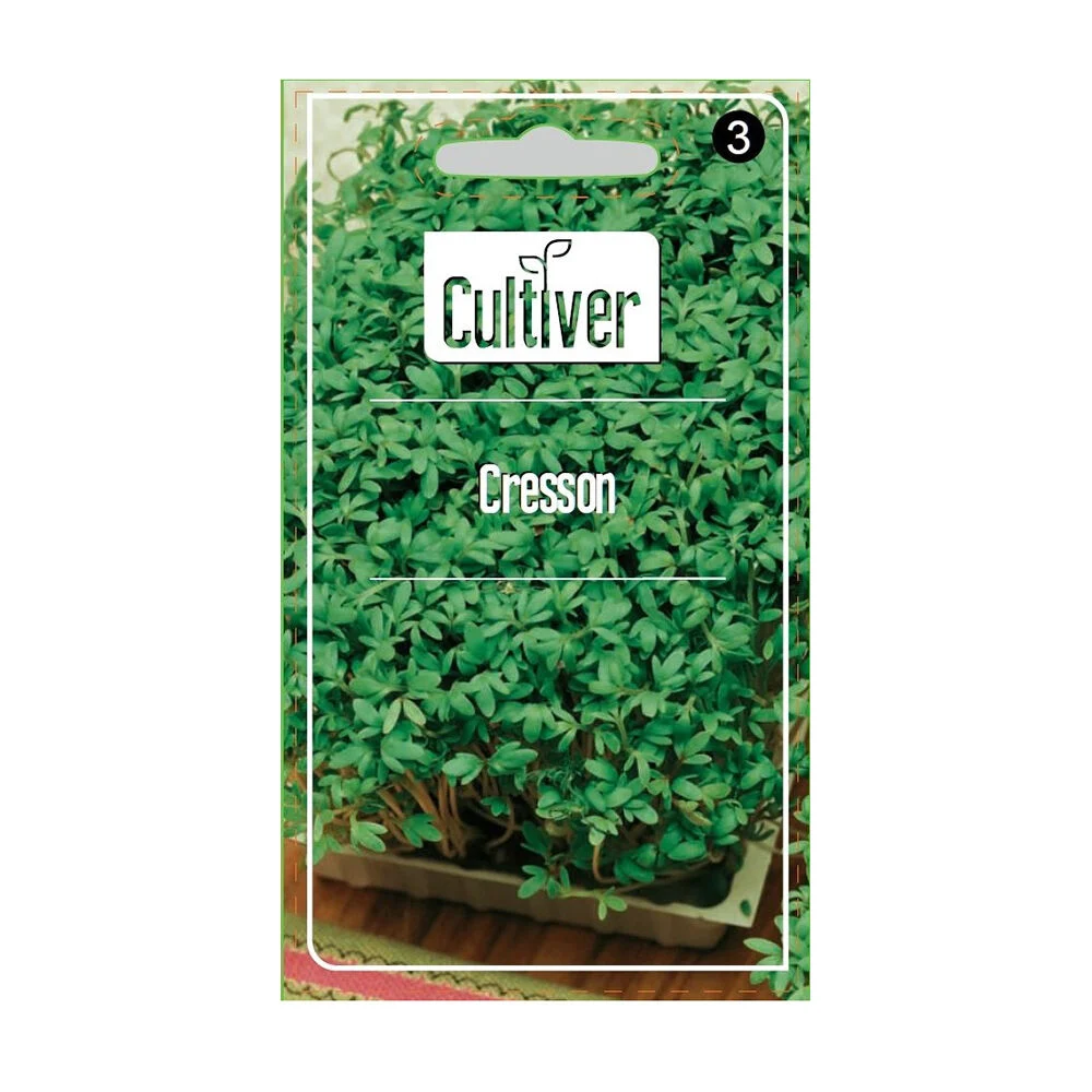 Semence de cresson de jardin