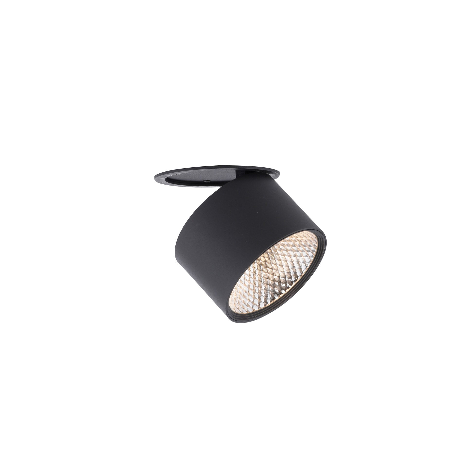 Paul Neuhaus LED Deckenlampe mit 1 Spots PURE-NOLA 15 cm schwarz
