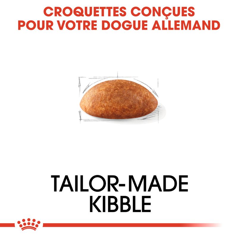 Royal Canin Dogue Allemand Adult