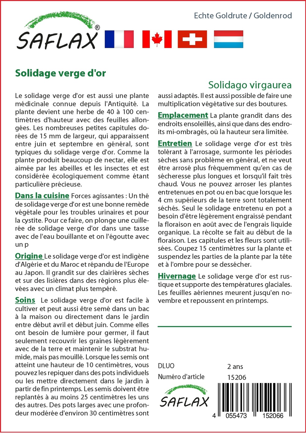 Solidage verge d'or - 100 graines - solidago virgaurea