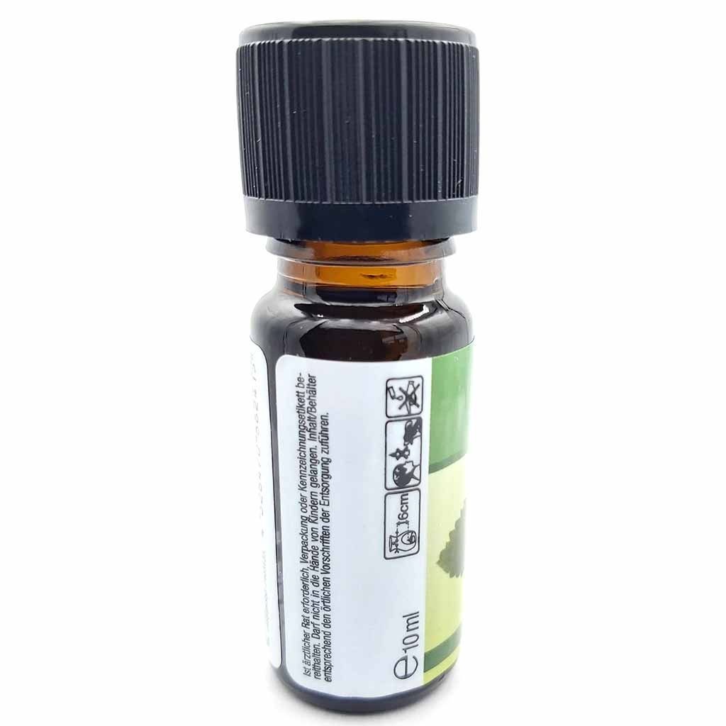 Duftöl Minze10ml MHD:31.12.26