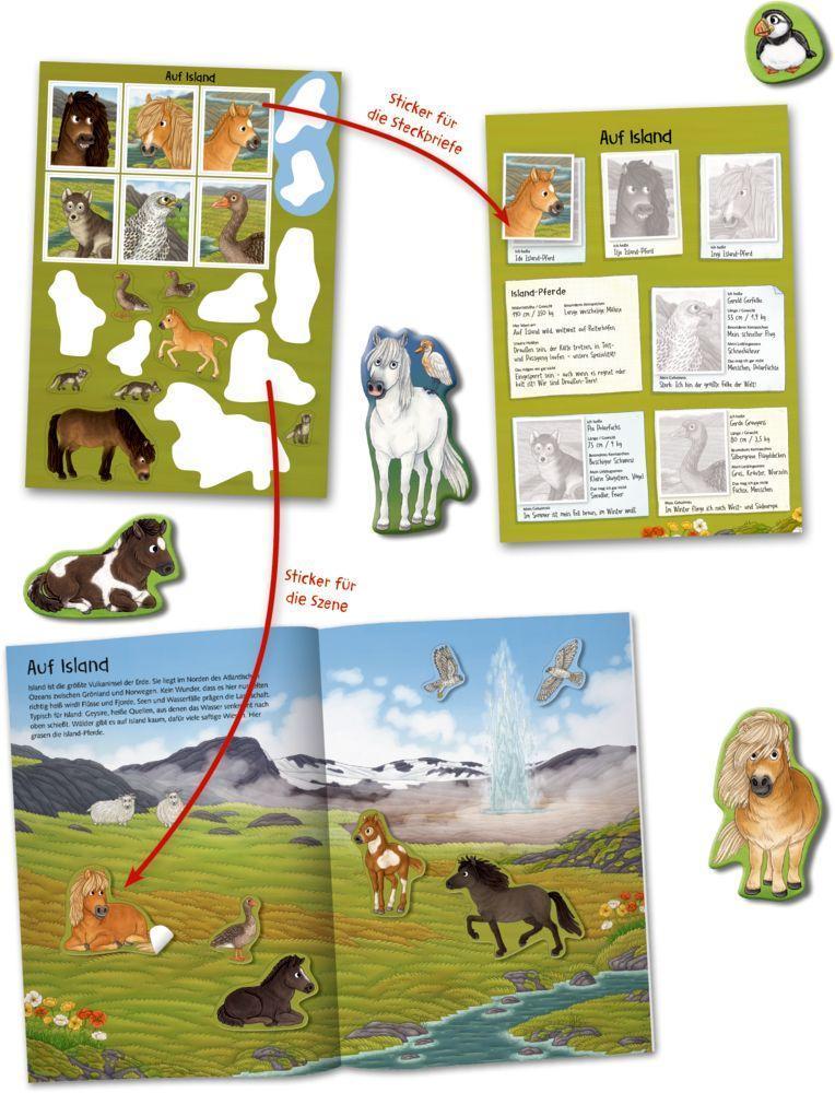 Nature Zoom / Natur-Stickerwelt - Pferde und Ponys