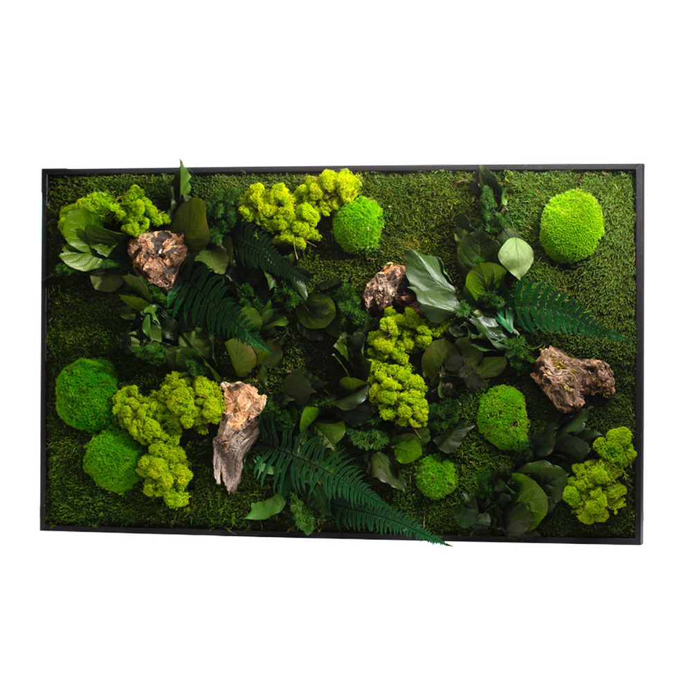 Stab canope rectangle xl - noir 100x60