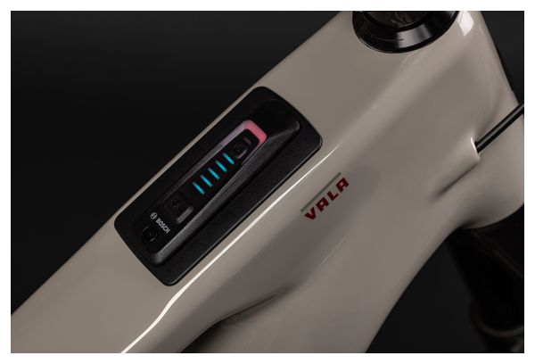 VTT Tout-Suspendu Electrique Santa Cruz Vala R Carbone C Sram NX 12V MX (29/27.5'') Gris