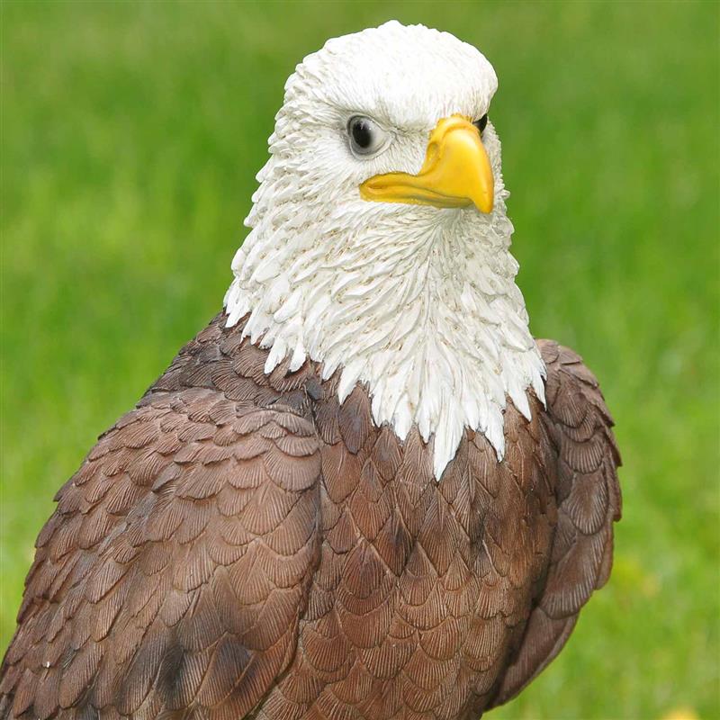 Dazikemo Dekofigur Gartenfigur Weißkopfseeadler