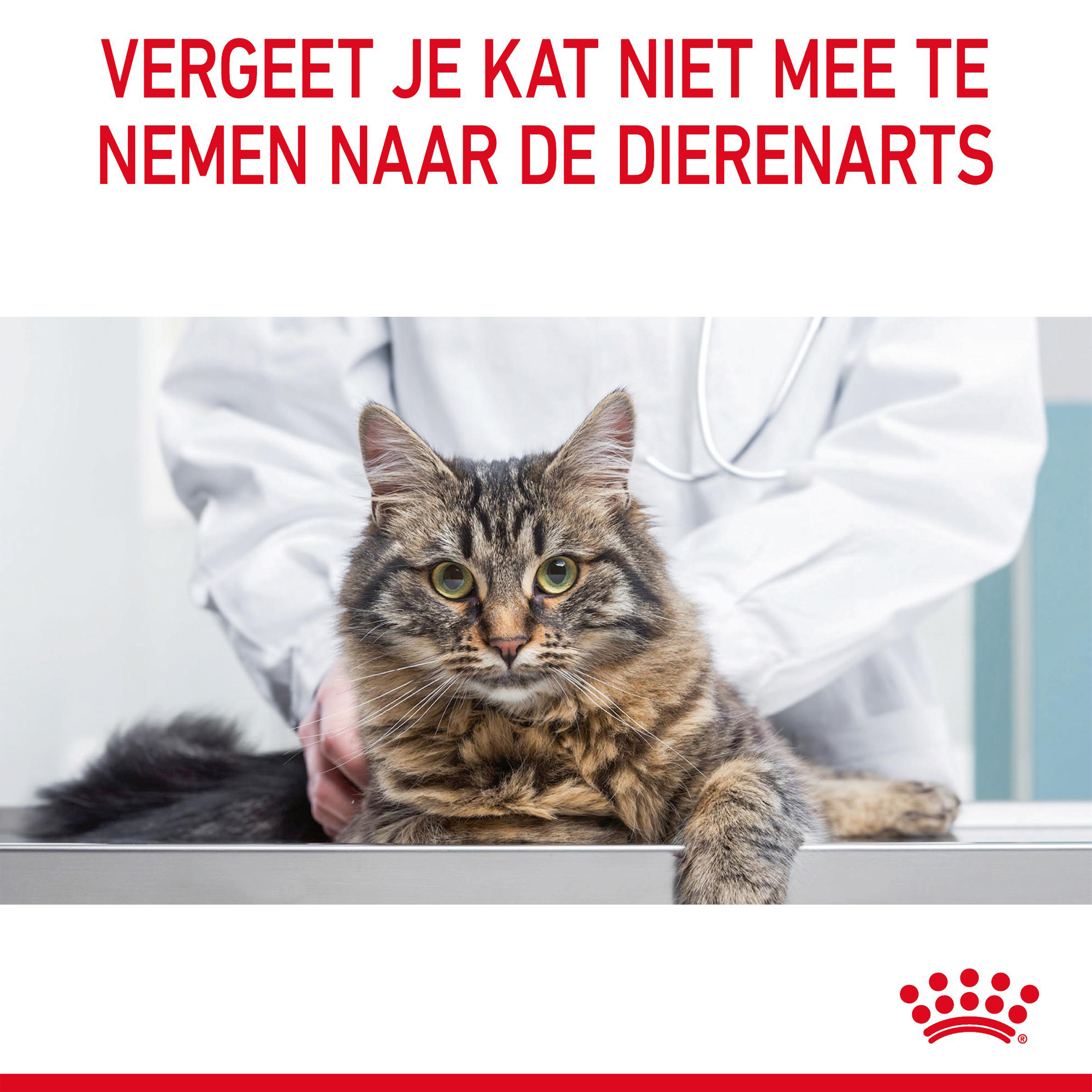 Royal Canin Light Weight Care in Jelly - Kattenvoer