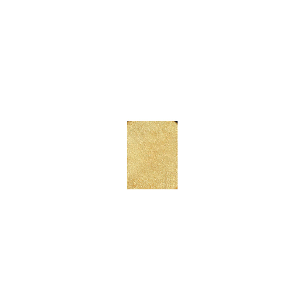 Ben Nye - REPS - Studio Palette Pearl Sheen - PUDER REFILL 1,75g
