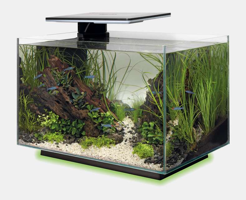 Superfish Aquarium Quadro 40 Multi Colour Wit   lamp en filter