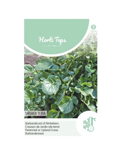 Hortitops Tuinkers Overblijvend - Barbarakruid - Kruidenzaden - 3 g