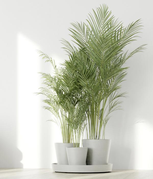 Ecopots Kunststoff-Topf-Set Dubai mit