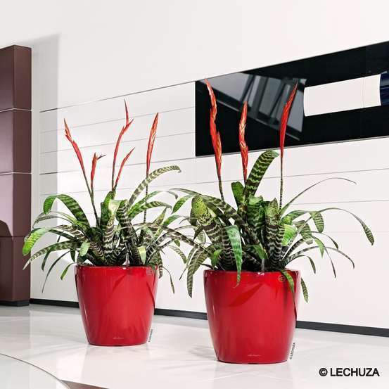 Pot Classico Premium en polypropylène, rouge Ø 21 cm