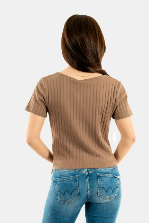 tee shirt only bella leafless tree