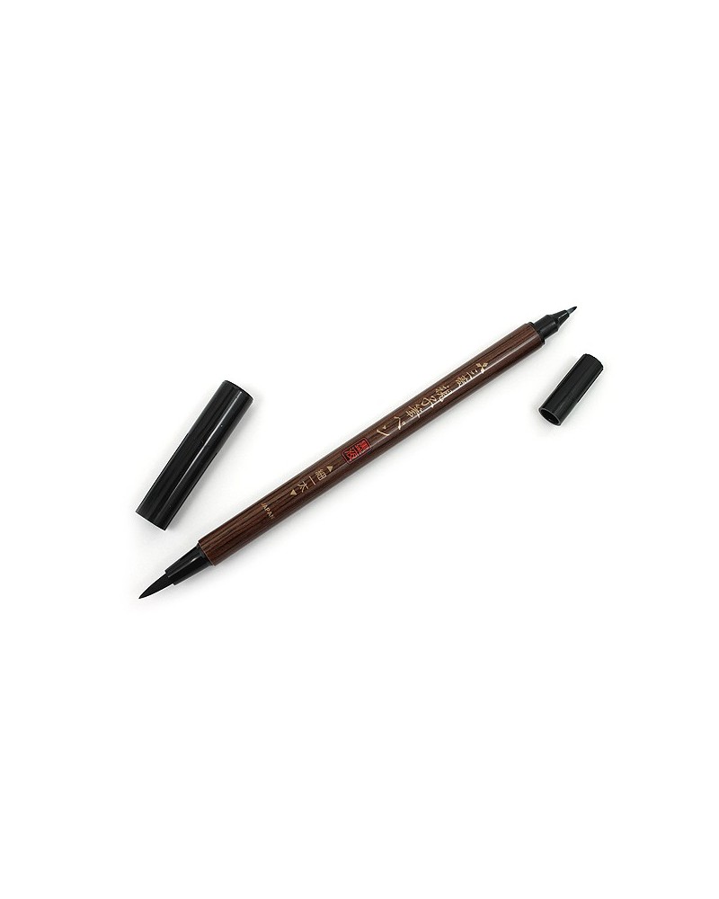 Mitsubishi double pointe