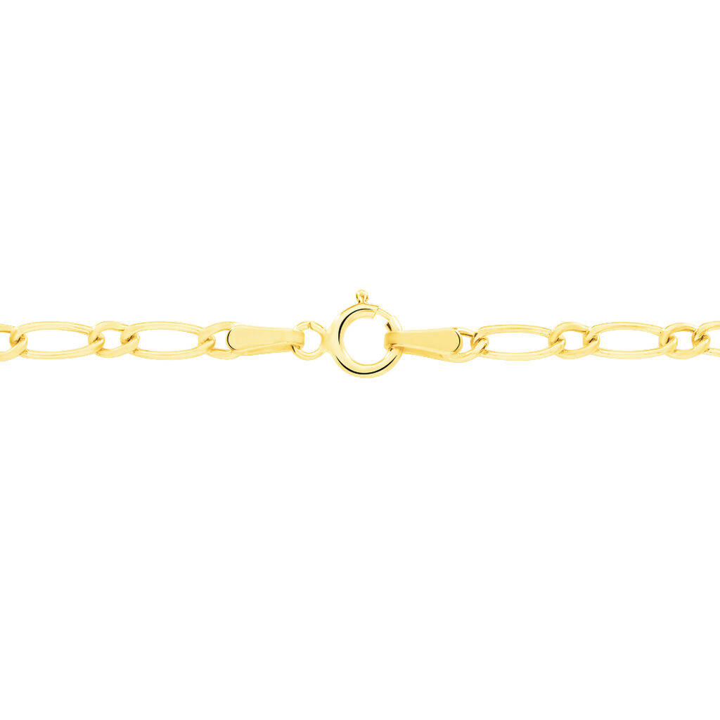 Chaîne Sukainaae Maille Alternée 1/1 Or Jaune