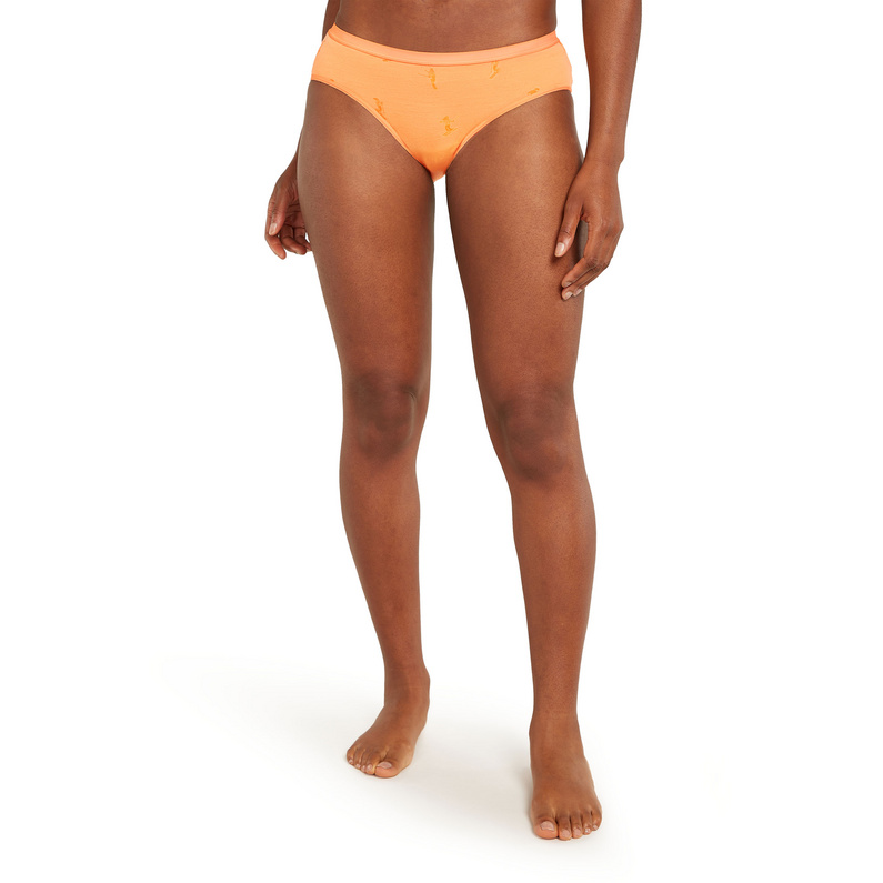 Icebreaker Damen 150 Siren Ski Day Hipkini Unterhose