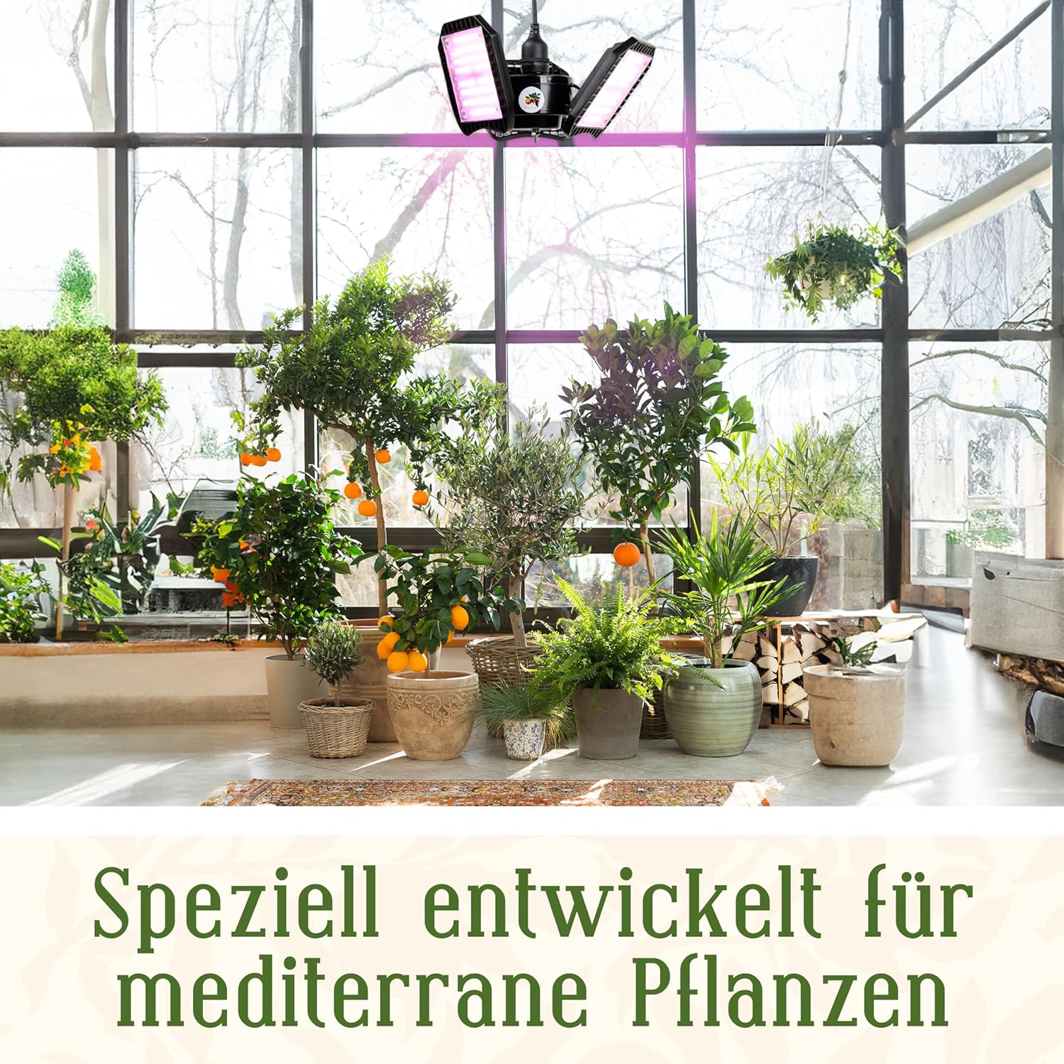Meine Orangerie - LED-Pflanzenlampe FLEX [60W] - Vollspektrum LED Pflanzenleuchte zur Überwinterung von mediterranen Pflanzen - Entwickelt mit den Zitruspflanzen-Profis (LED Lampe)