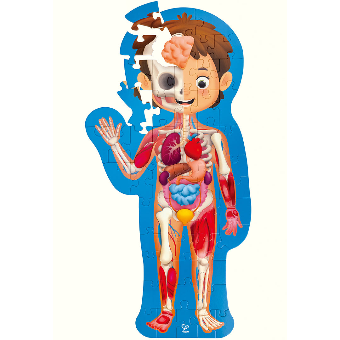 Hape puzzel menselijk lichaam - 60st