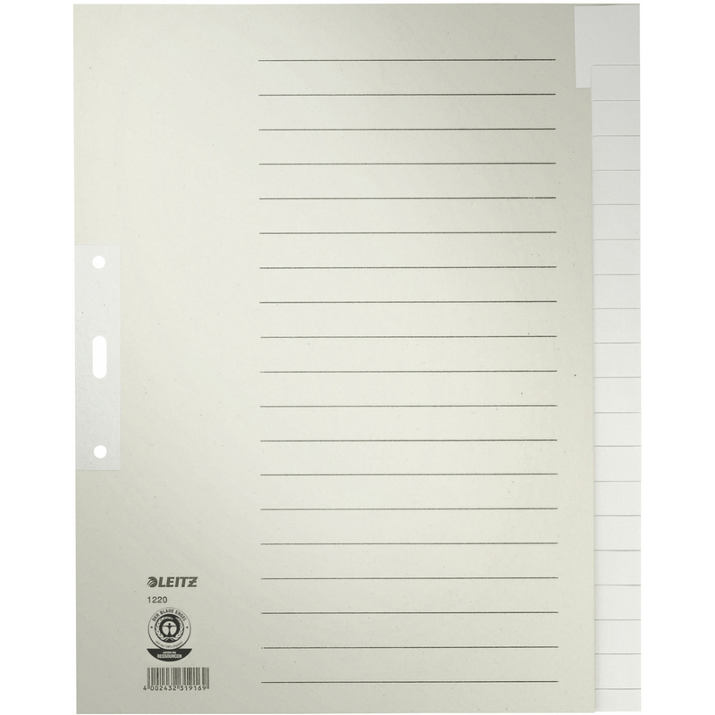 Leitz Register Tauenpapier, A4+, 20-teilig